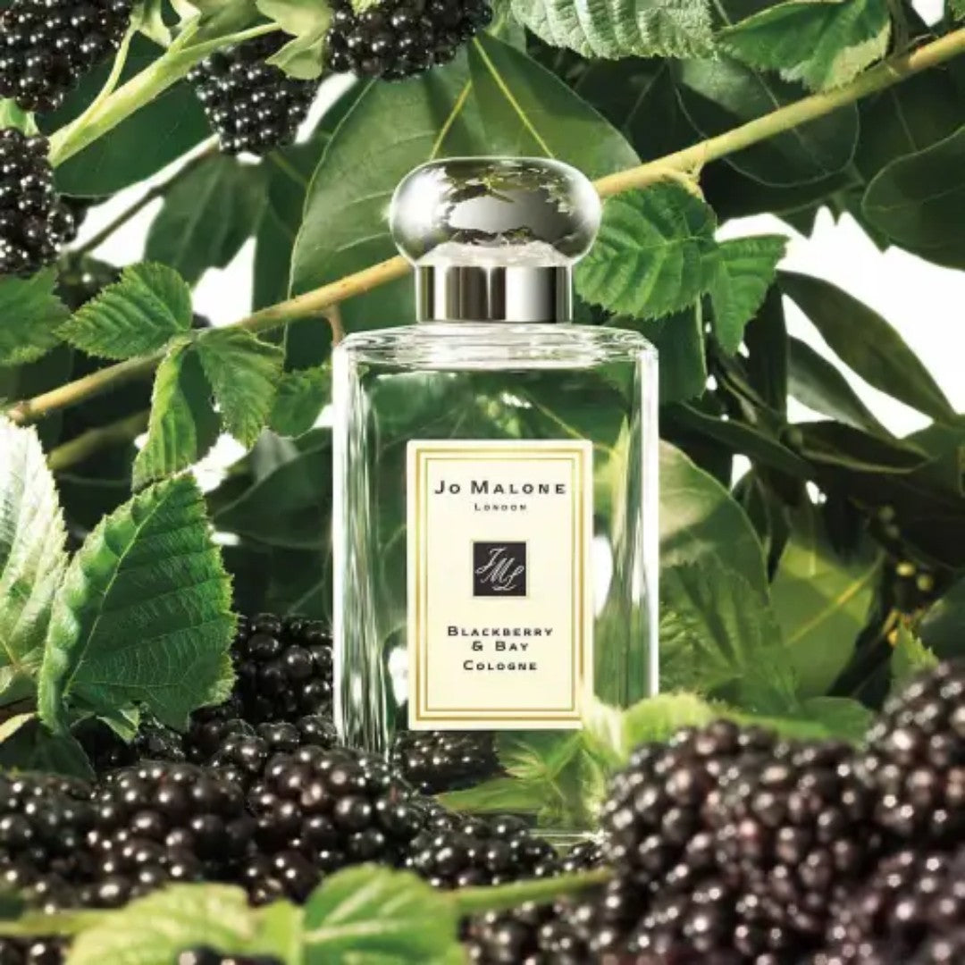 Jo Malone Blackberry & Bay Eau De Colonge 100 ml